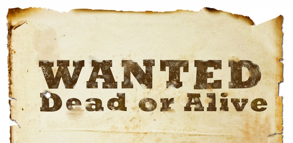 Wanted-Dead-or-Alive-2-1024x501.jpg